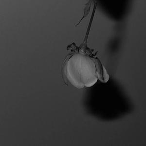 仓井空无码草逼
